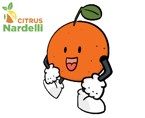 Frutatop Sticker by Citrus Nardelli