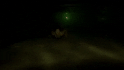 Stephanie_Andujar_ giphyupload water pool swimming GIF