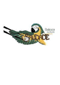 Saudadebotecodosushi Sticker by saudadesoverato
