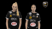 Pittsburgh Steelers Floorball GIF by F-liiga