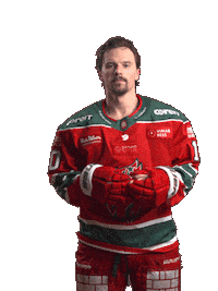 Hockeyallsvenskan Sticker by MoDo Hockey