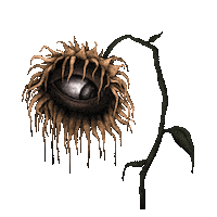 Let Down Mushroom Sticker by Paris Jackson