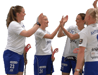 Floorball Salibandy Sticker by F-liiga
