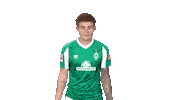 Josh Sargent Bundesliga Sticker by SV Werder Bremen