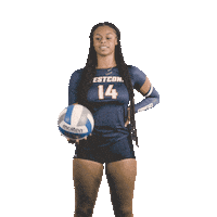 College University Sticker by WCSU