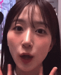 Idol Explaining GIF