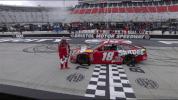 kyle busch race GIF by NASCAR