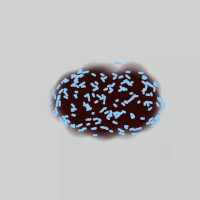 GIF by Boopy Club