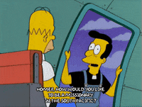 homer simpson GIF