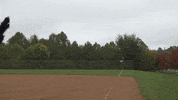 WashingtonSpirit world series pk nationals washington spirit GIF