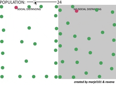jiavern giphygifmaker GIF