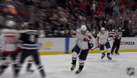 Happy Washington Capitals GIF by NHL