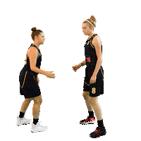 Houilles Sticker by SOH Basketball