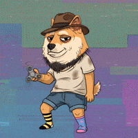 Shiba Inu Spinning GIF by Doge Pound
