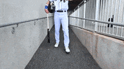 Happy Sport GIF by Fayetteville Woodpeckers