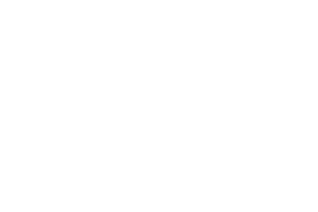 Fest Tribe Sticker by Bodhi and Ride