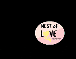 nestoflove nonprofit nol nest of love nestoflove GIF