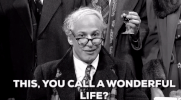 andy samberg snl GIF by Saturday Night Live