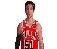 Ryan Arcidiacono Sticker by Chicago Bulls