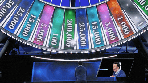 fox money GIF by SpinTheWheel