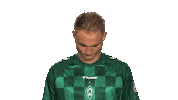 Look Up Werder Bremen Sticker by Bundesliga