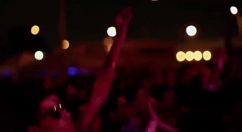 fools gold stage GIF by Fool's Gold Records