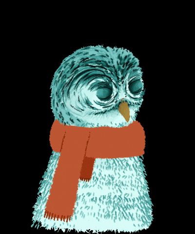 stvenhislopartwork giphyupload blue owl blue owl GIF