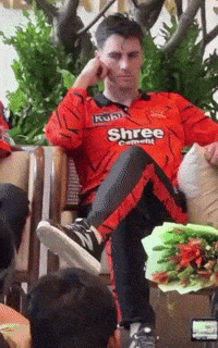 Ipl Sunrisershyderabad GIF