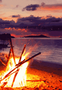 beach campfire GIF
