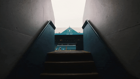 Stadium S6 GIF by Sheffield Wednesday Football Club