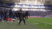 Happy Football GIF by FC Schalke 04