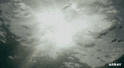 Cheers GIF by ARRAY