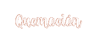 Que Emocion Weddingcoach Sticker by Estefania Canales Wedding Coach