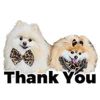 Cute Dogs Thank You Sticker by Pimp Yo Pets