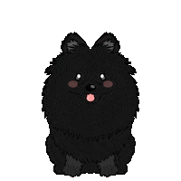 Dog Wink Sticker
