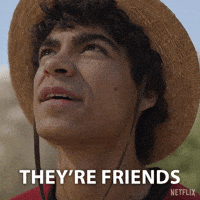 One Piece GIF by NETFLIX