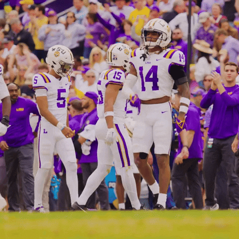 College Football GIF by LSU Tigers