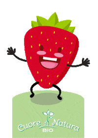 cuoredinatura fragola fragole piccoli intenditori cuore di natura bio Sticker