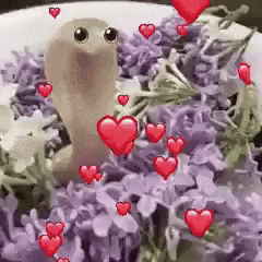 Dog Twitter GIF