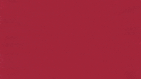 Charroslmb2025 GIF by Charros de Jalisco