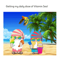 Summer Beach GIF