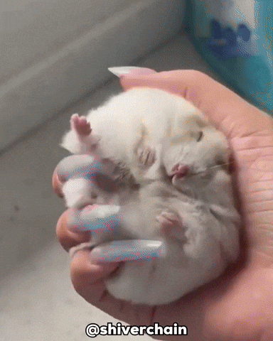 Horror Unsettling GIF