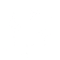 Holiday Stars Sticker by leeandracianci