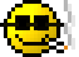 page raiders STICKER