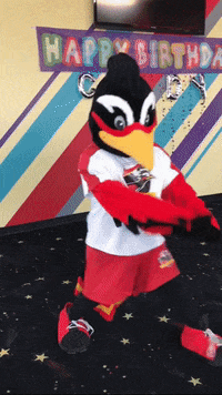 nmrunners soccer birthday happy birthday mascot GIF