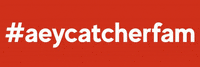 aeycatcher cardistry playingcards cardist cardporn GIF