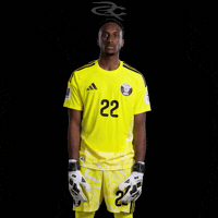 Fifa World Cup Qatar GIF by Respective