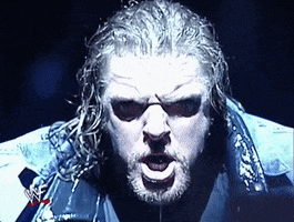 triple h wrestling GIF by WWE