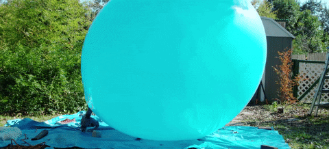 GIF by Mashable
