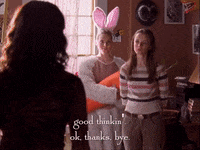 season 3 netflix GIF by Gilmore Girls 